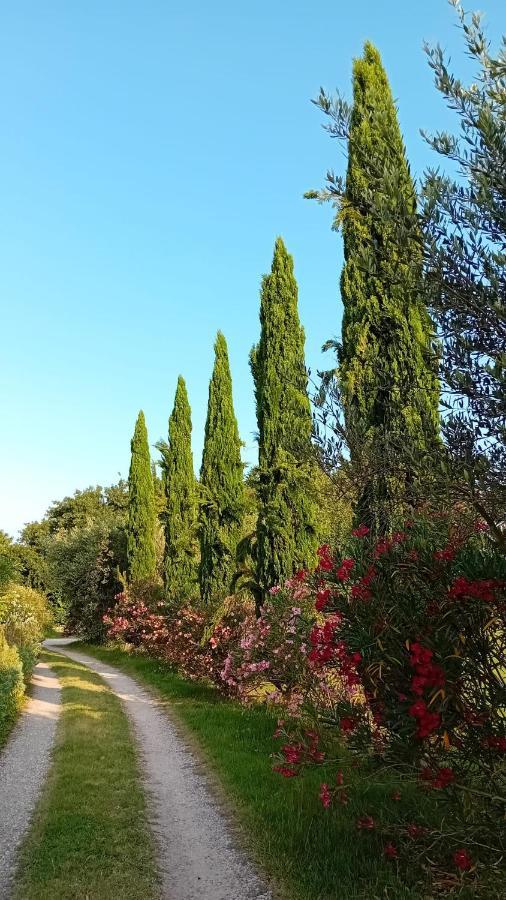 La Gandonne Apartment Caderousse ภายนอก รูปภาพ